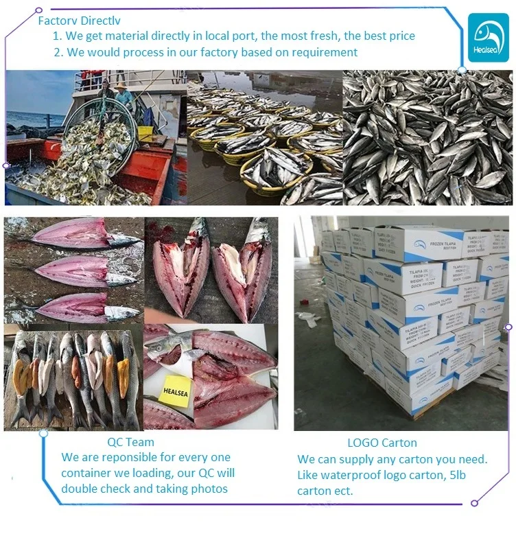 50-200g HGT Jerk Filefish Leather Jacker fish