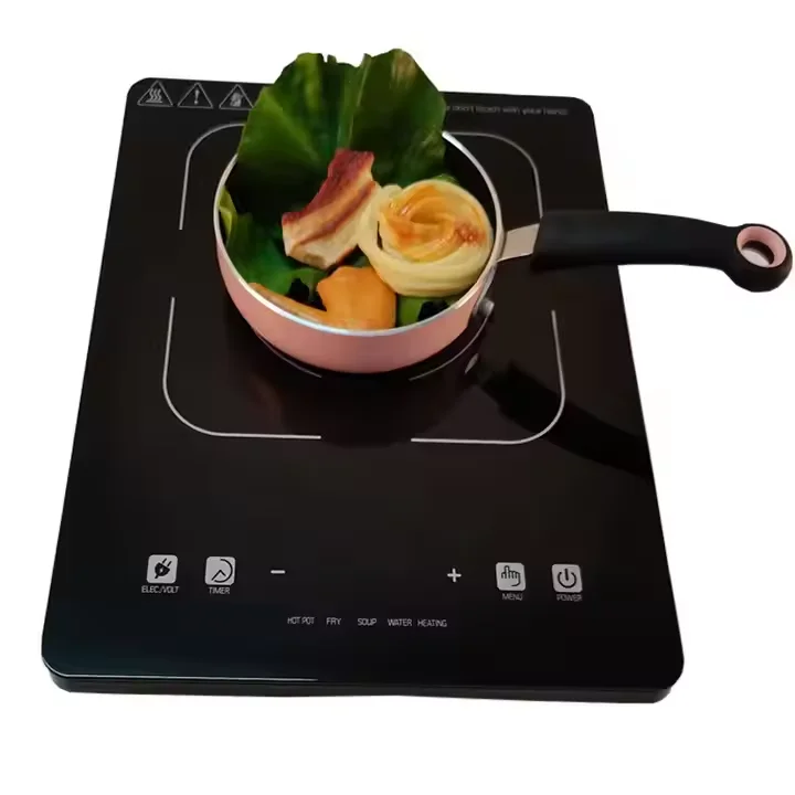 Kitchen Appliances Multifunctional Electric Cooker Induction Stove