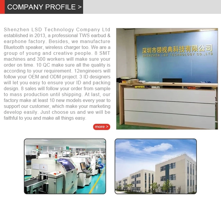 1 Company profile