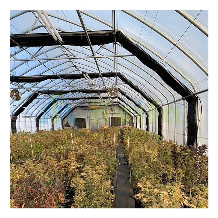 Hydroponic Hemp Growing System Blackout Light Deprivation Greenhouse Automated Light Dep Greenhouse