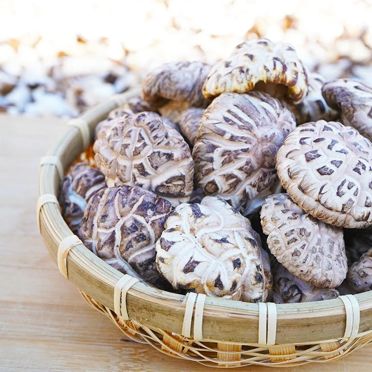 Свежие грибы устричный соус shiitake пищевые добавки и витамины