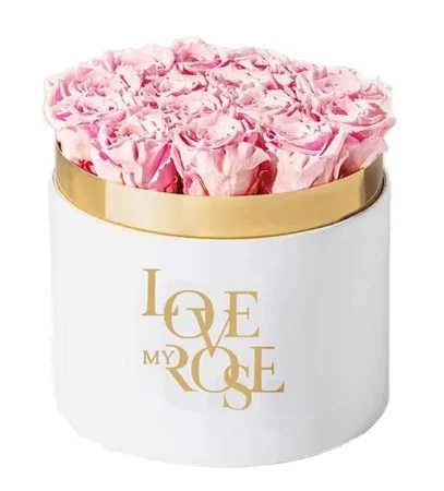 China Factory Manufacturer Price Preserved Rose Flower A Grade Wholesale Preserved Roses Long Life Roses in Cylinder Gift Box