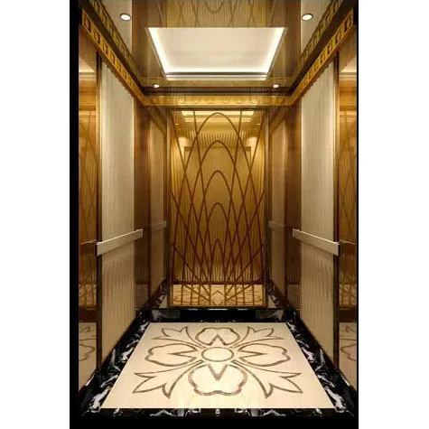 Vvvf Control Delicate Passenger Elevator with CE