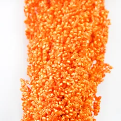 The Most Popular Dried Plants And Flowers On INS Dried Flowers Decoration Sorghum