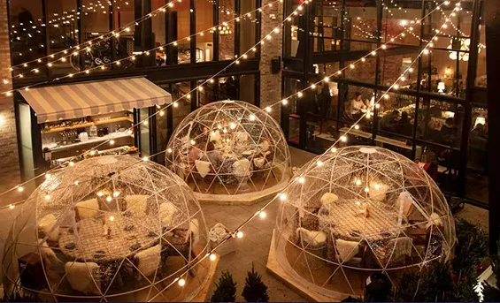 12FT Garden Dome Bubble Tents Upgraded Geodesic Dome Greenhouse  Ball Tents