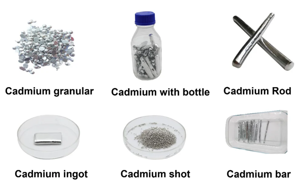 paste-pic-dp_uuid_tf4xr