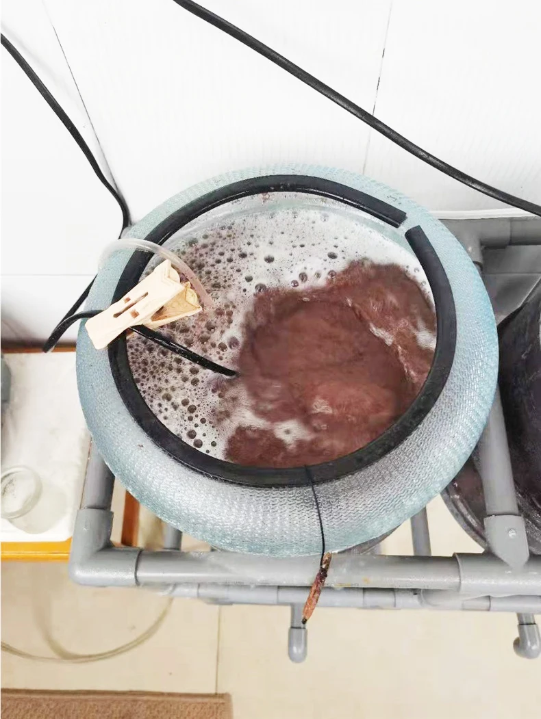 large type artemia hatching incubator fish and loach hatchery incubator hatching set tool