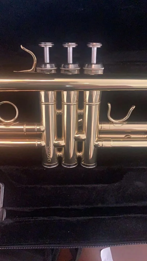 Popular Trumpet trumpet(HTL-671)