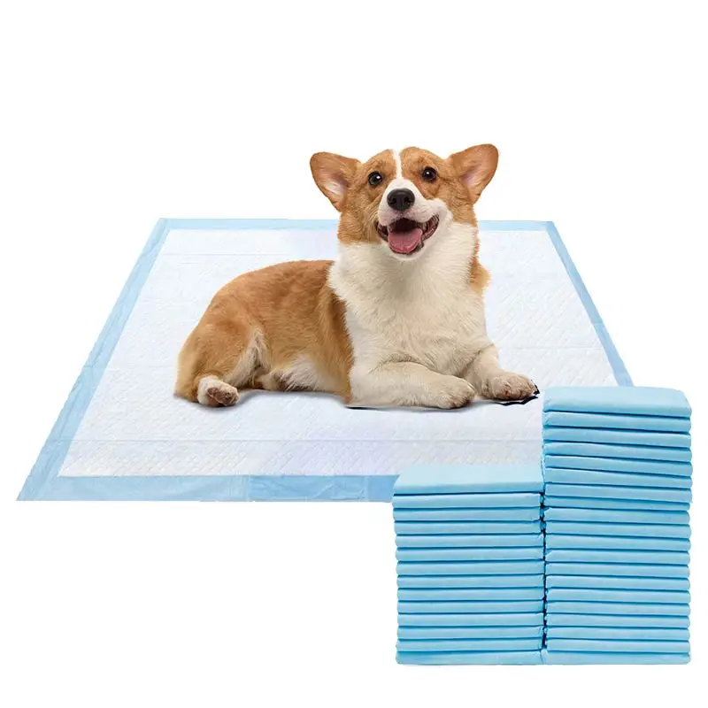 Manufacturer New Style High Absorption Training Disposable Leakproof Comfortable Full Size Dog Pee Pad With Fragrance
