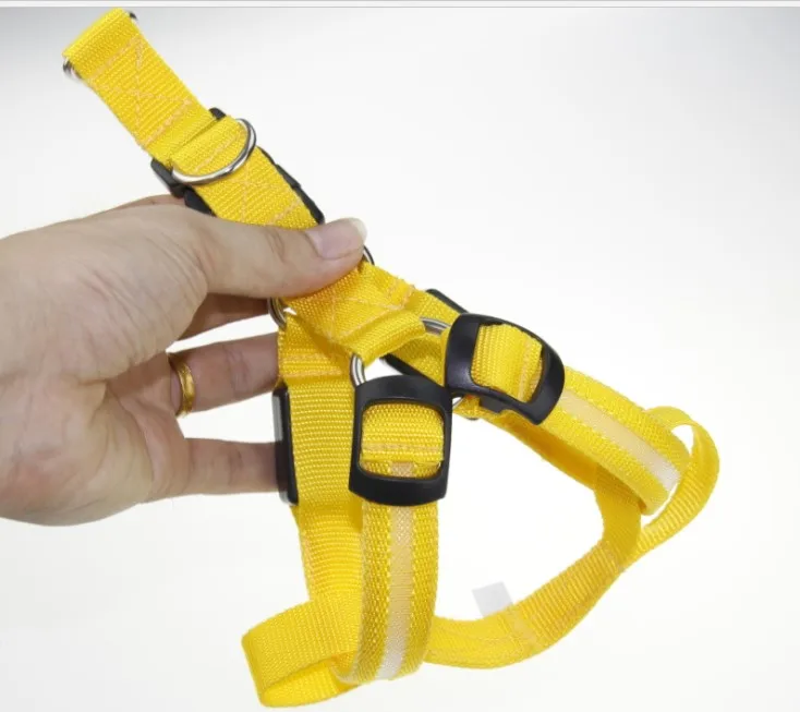 Дизайнерский собачий ошейник