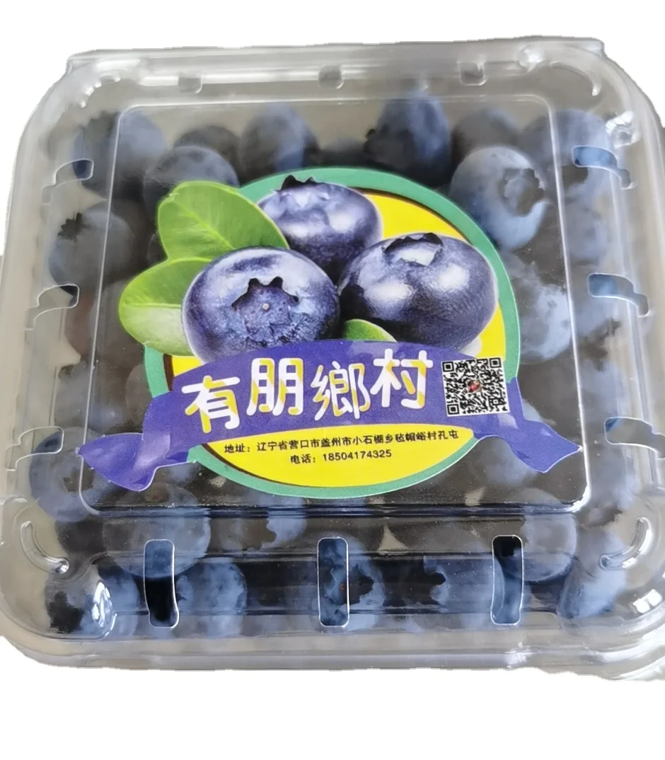 Ферма непосредственно поставляет свежие вкусные китайские черники оптом