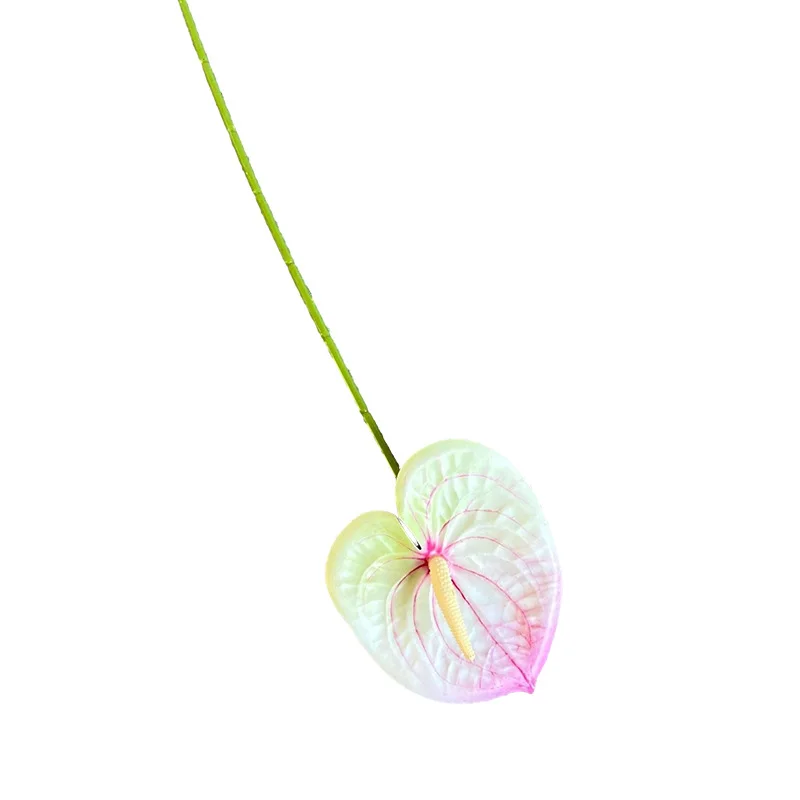 Artificial Flowers Anthurium Real Touch Anthurium Decoration Plant 3D Printing Anthurium Flowers