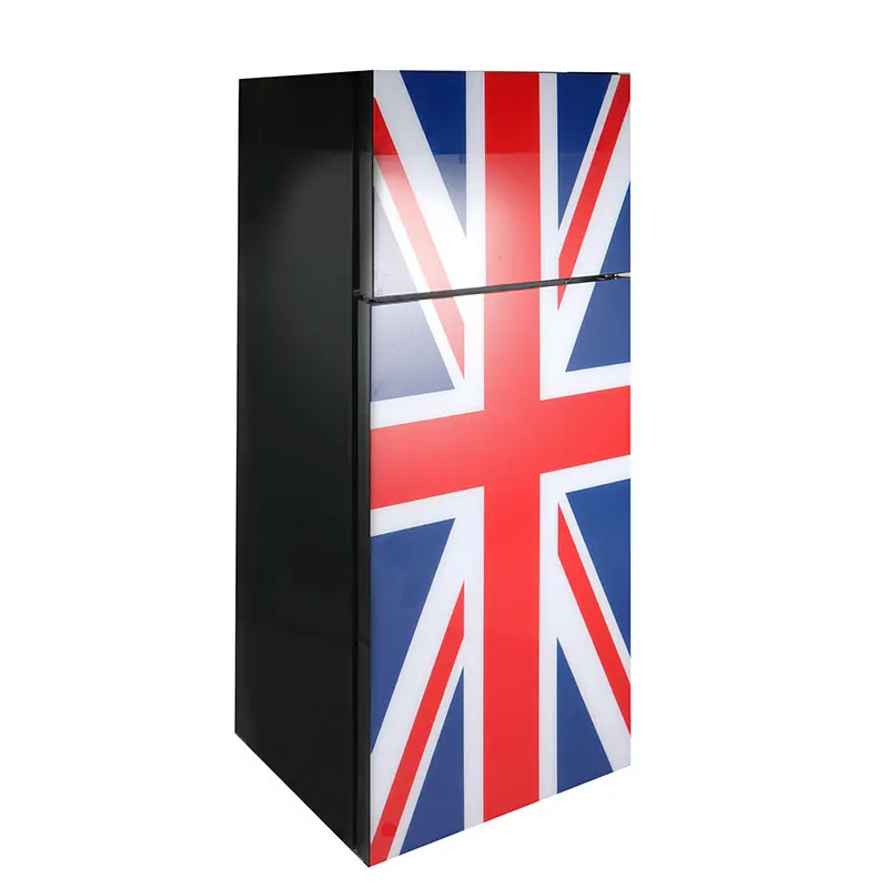 BCD-210 2023 best refrigerator price Grade 1 hotel household 12v 24v fridge