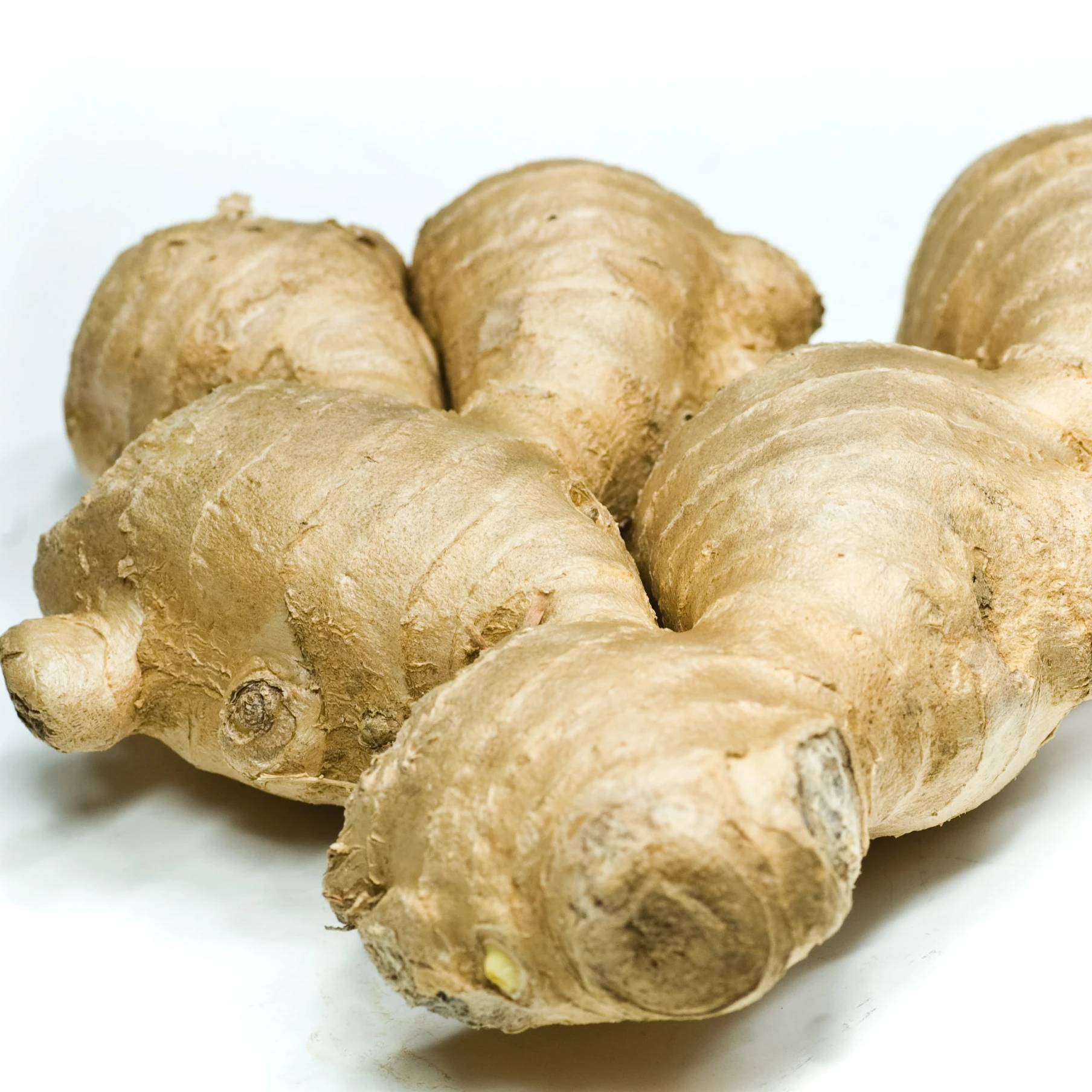 Оптовая продажа натурального свежего имбиря из