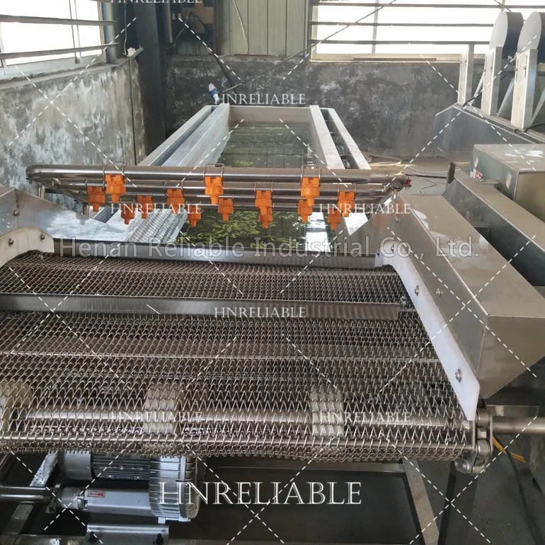 air bubble washing machine used for vegetable fruit cleaning  lime chicken washing cleaning machine frozen food machine
