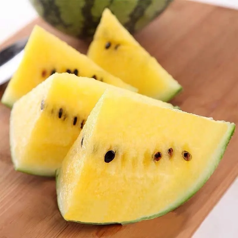 
Wholesale Chinese Hybrid F1 Mini Oval Yellow Watermelon Seed For Planting 