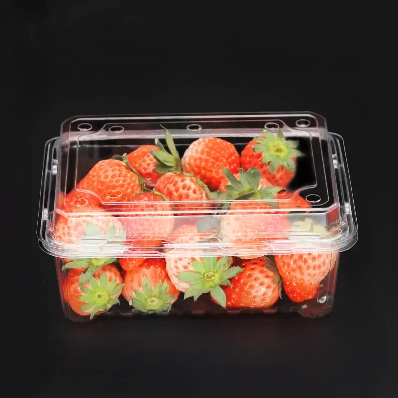 Storage clear Plastic Box clear salad fruit plastic food container packaging box With Lid