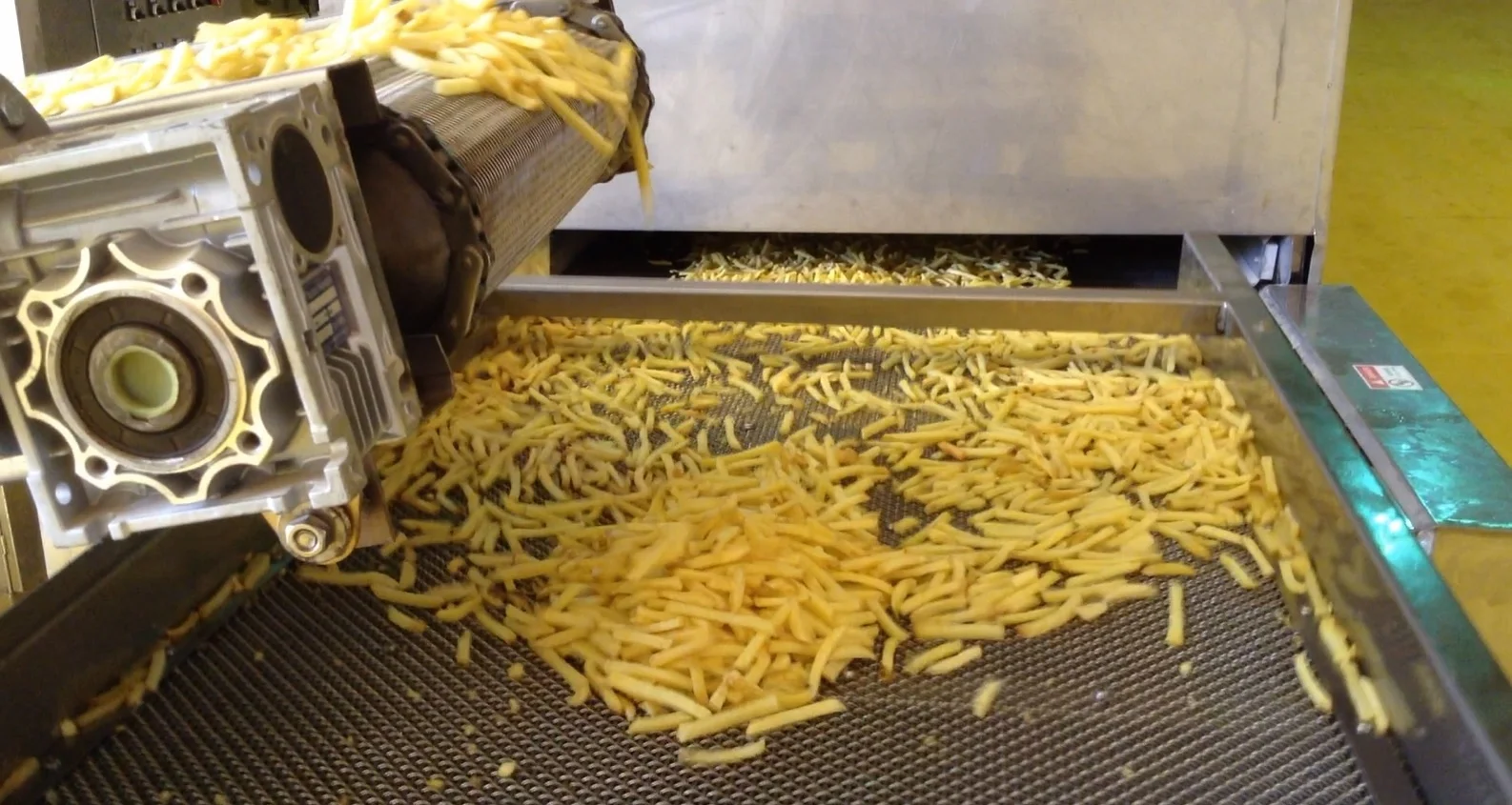 Potato peeling equipment with discount Complete set of frozen french fries making machine Potato cutting machine on sale