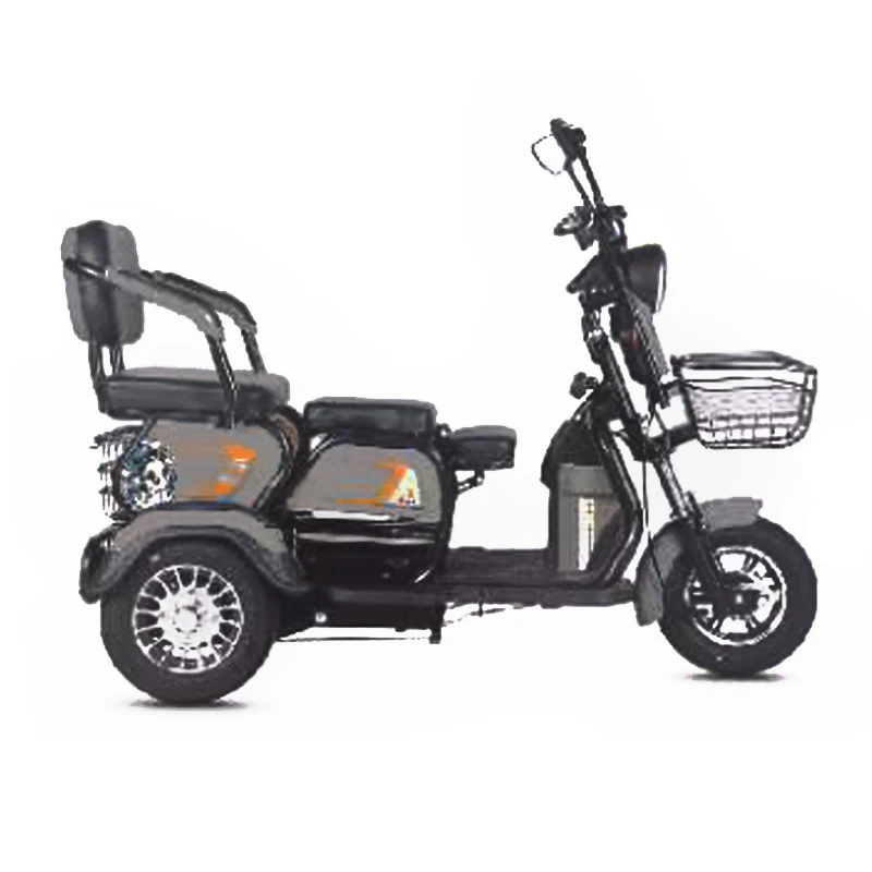 High Quality Adult Cargo Electric Tricycle 3 Wheel Adult Electric Bike LED Light Steel CE LCD Display Aluminum Alloy 80 12 Tube