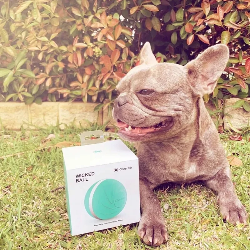 Wicked Ball New Design Pet Dog Cat Toys Interactive Toy Electric Automatic Companion Cat Playing Ball  Dog Training ball