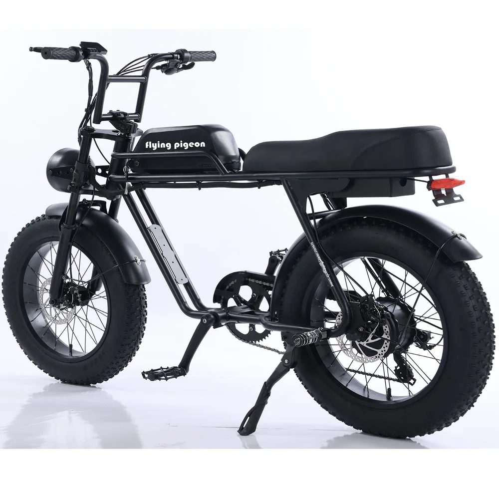 2023 Fat tire electric bicycle (FP-EB23006)