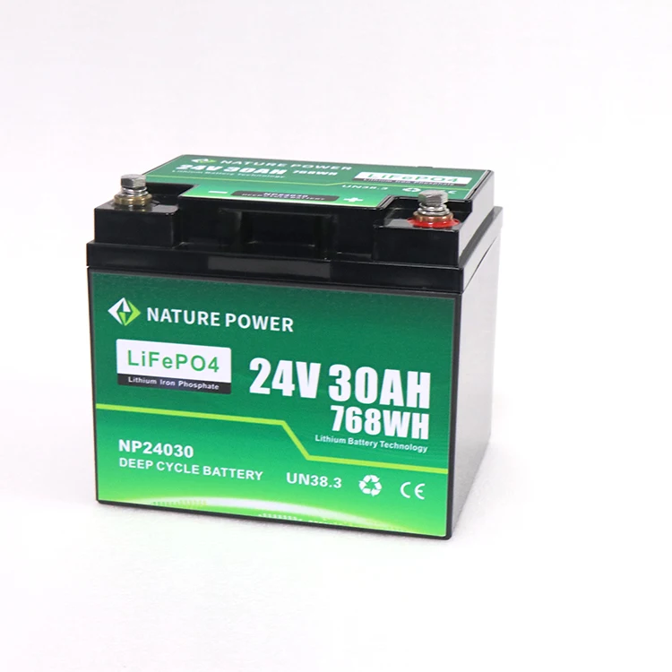 NATURE POWER Deep Cycle Lithium-Ion Battery with BMS 24v 30Ah Car Cranking Battery Lifepo4