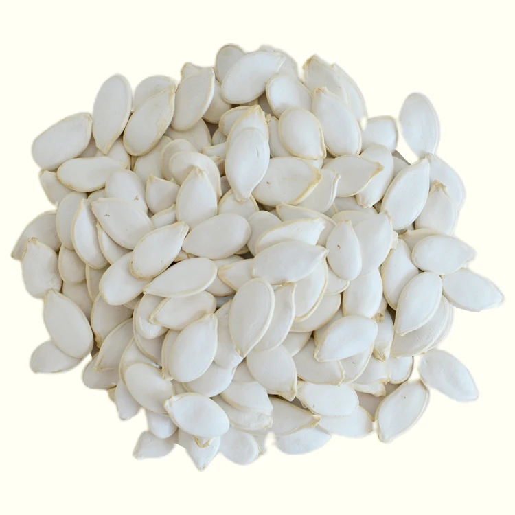 snow white pumpkin seeds price planting