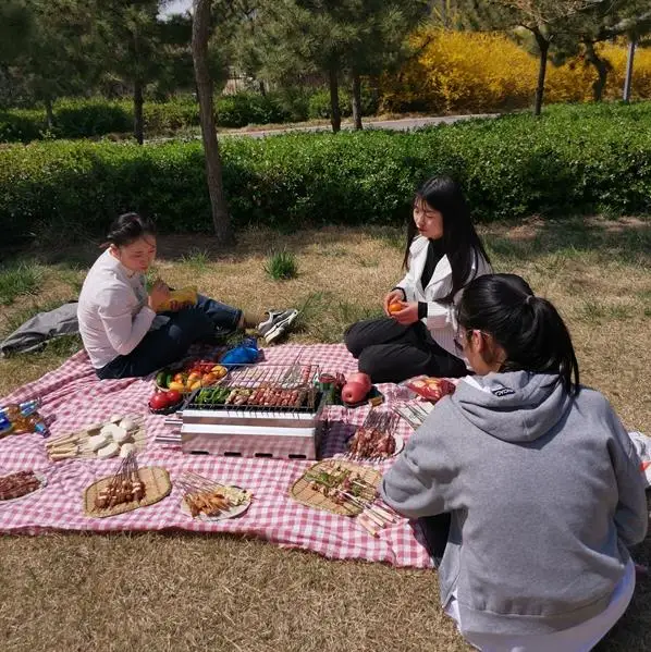 Zibo Barbecue Stove Commercial Restaurant Household Indoor Outdoor Use Charcoal Side Heating Smokeless Stainless Steel BBQ Rack