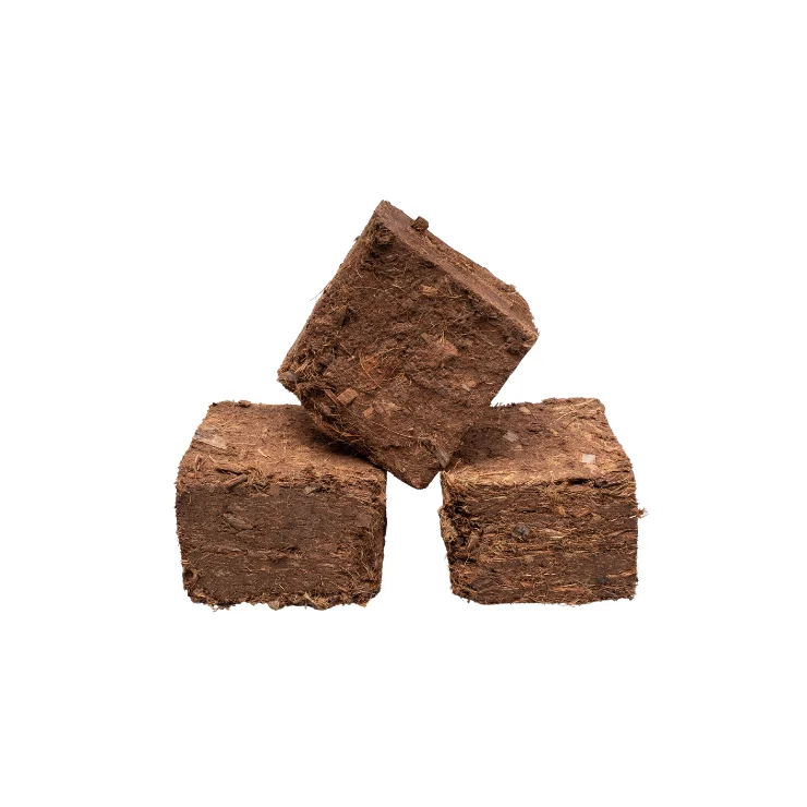 Natural Environment Friendly Coco peat Protection Round Coir Peat Coconut Fiber Top Gardening Plant Seedling Germination