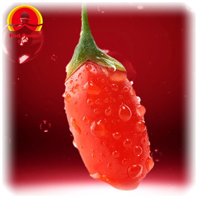 Red Power QIZITO aldi a lexportation noir baie de goji bio goji berries,organic wolfberry goji berrie s dried