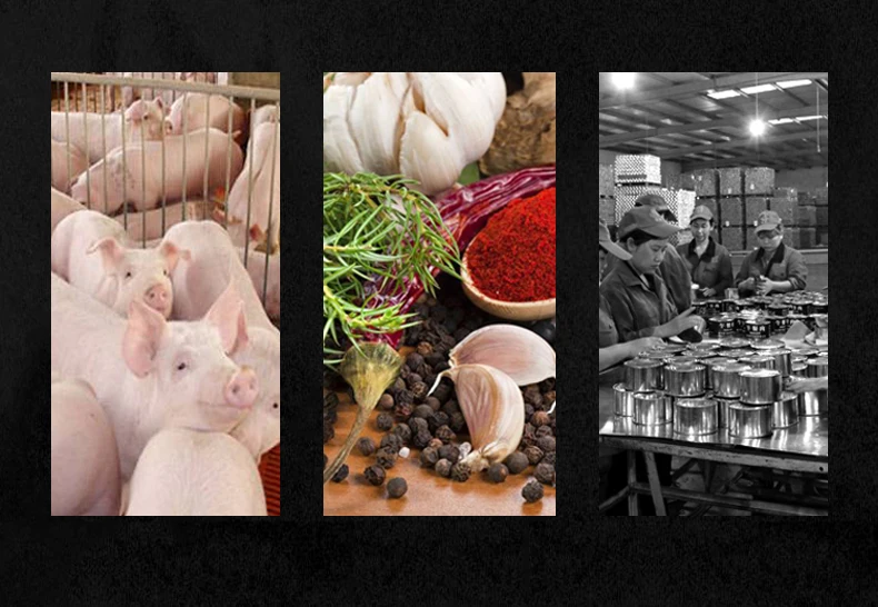 Best Quality 397g PORK Canned Pork Luncheon Meat Sterilized from CN;SIC 0.397 Kg Body Salt with 36 Months Shelf Life
