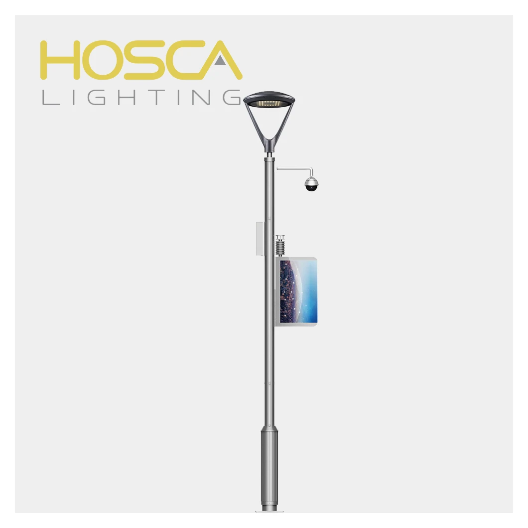 Special Hot Selling Fashion European Decorative Lighting Smart Garden Pole