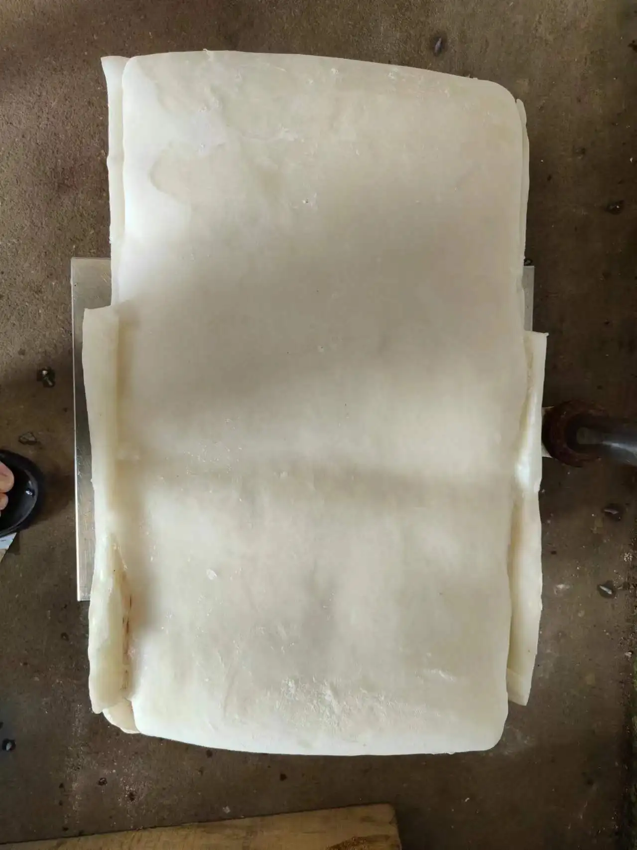 dosidicus gigas fillet Peru Squid fillet withoutskin Skin off Peru squid dosidicus gigas  fillet Without skin