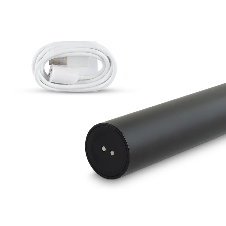 Wholesale eco friendly nylon electrical toothbrushes for adult