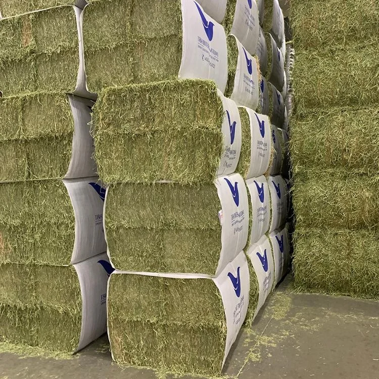 Alfalfa Hay Animal Feed Sundry Lucerne Hay