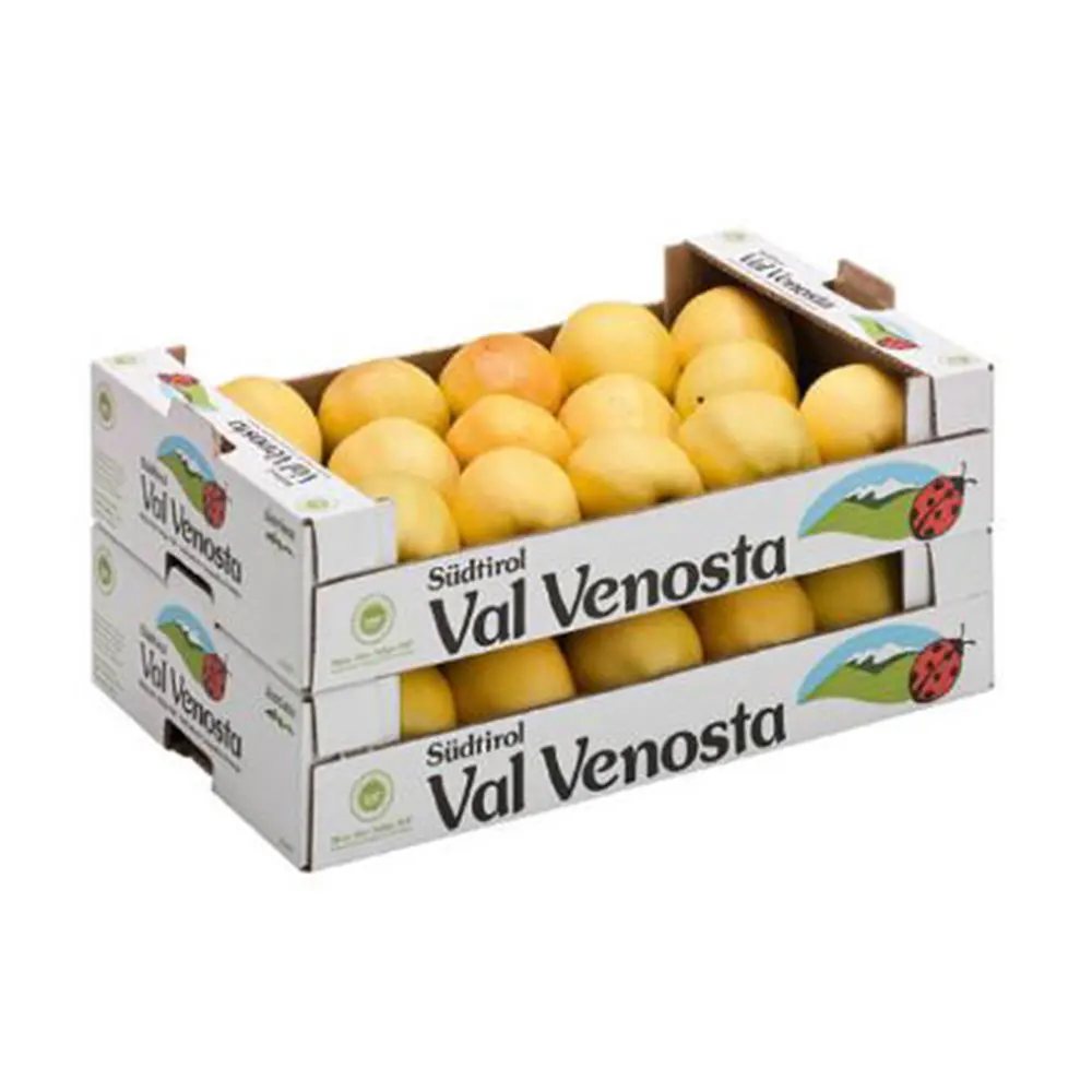 Customized Logo Printed Orange Lemon Retail Box Paper Packaging Corrugated Cardboard Fruit Tray