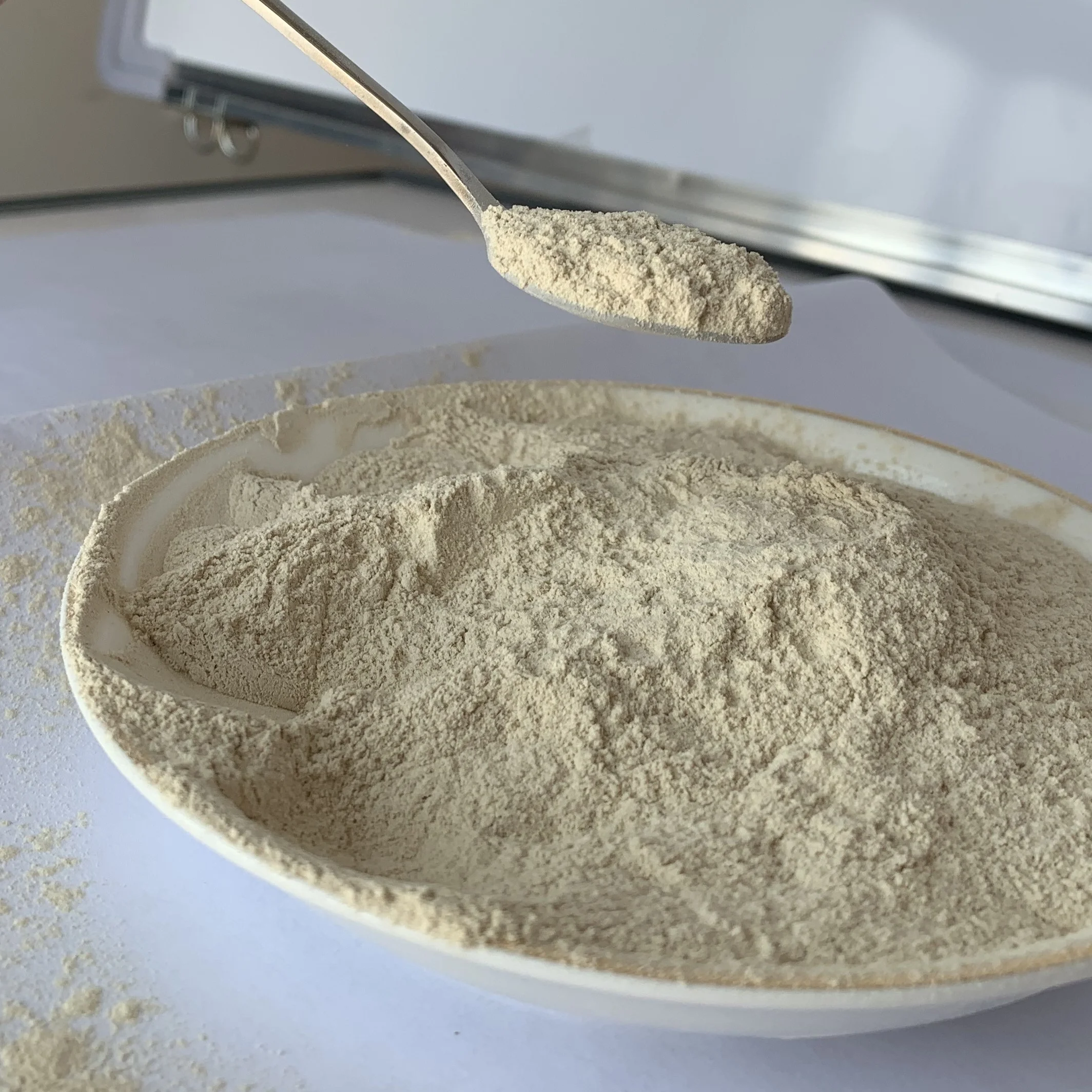 Protein powder  feed additives  mealworm powder food additive insect protein insect powder insect flour