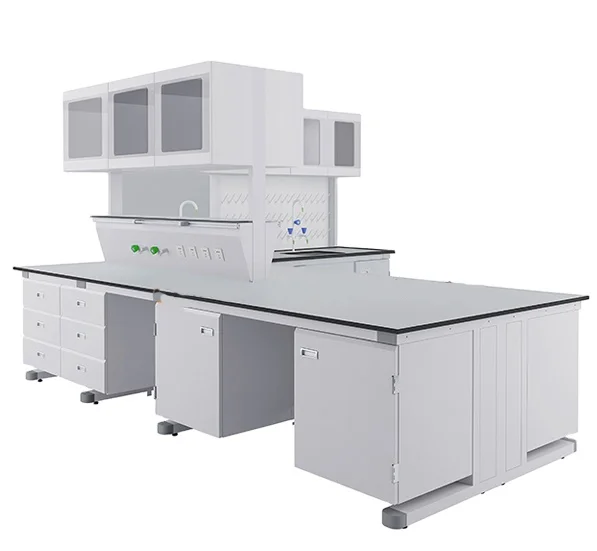 Customized Laboratory Work Station Desk Lab Furniture Fume Hood