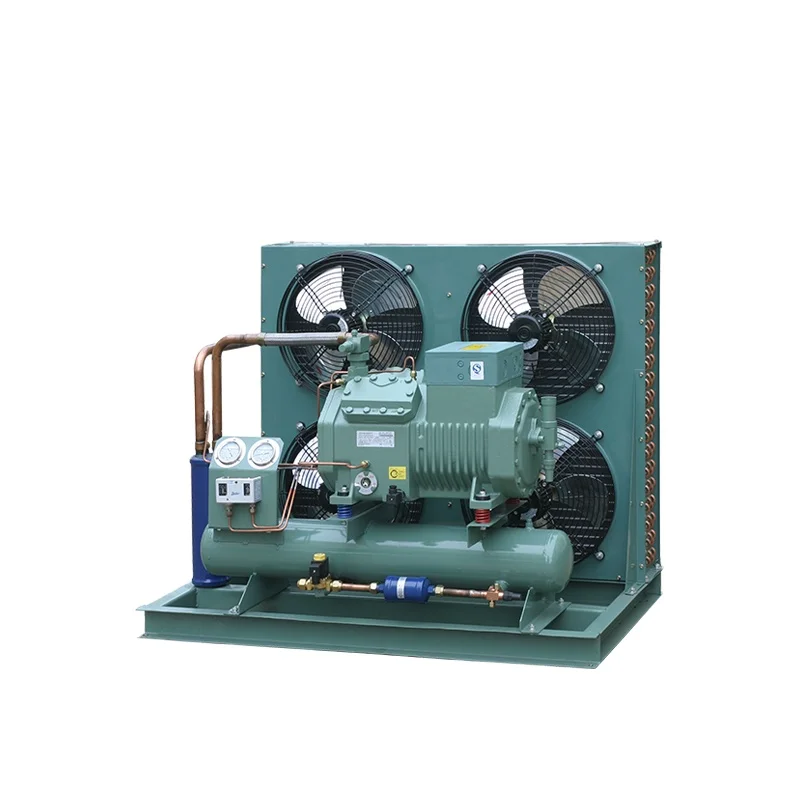 Freeze cold room walk in freezer storage cold storage refrigeration