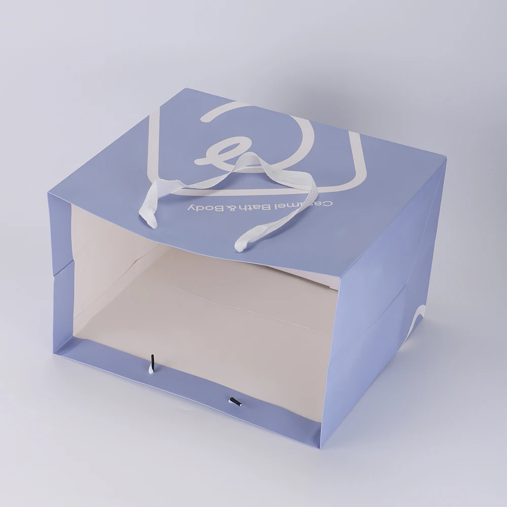 Wholesale Custom Logo Brand Merchandise Boutique Jewelry Gift Clothing Packaging Printed Paper Bag with Ribbon