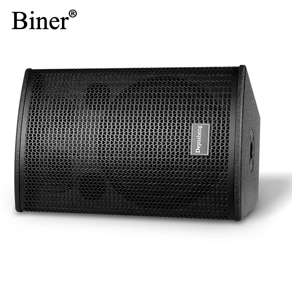 Biner D200 High Quality 10 Inch 100W Professional Audio Sound System Speaker For Family Cinema KTV