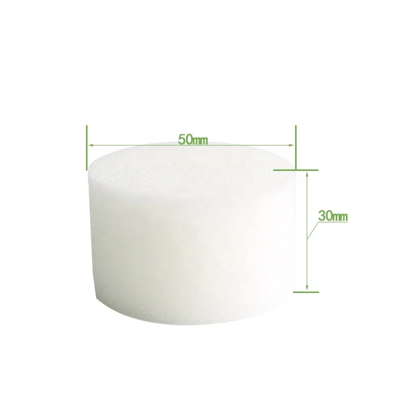 hydroponics vertical hydroponic system growing plants at home seedling tomato greenhouse hydroponic planting sponge