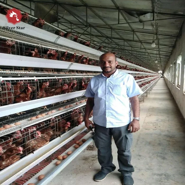 Full Automatic chicken egg layer cages manufacturer.jpg