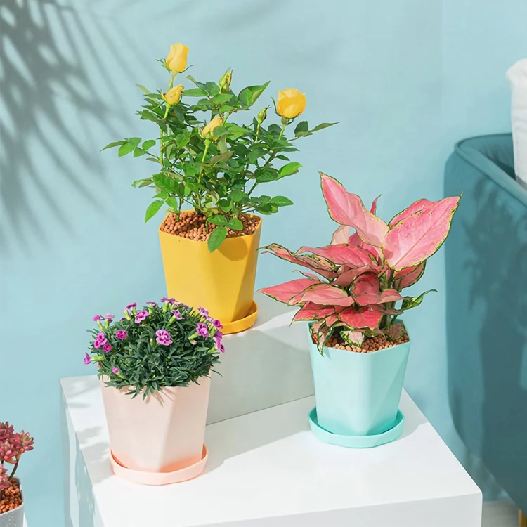 1 Pcs Plastic Resin Flower Pots New Geometric Nordic Simple White Thickened Green Radish Fleshy Flowerpots Indoor Plants