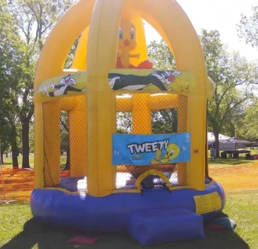 Cartoon Inflatable Custom Animal Bouncing Castle