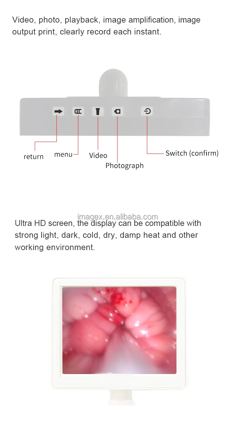Veterinary Visual Insemination Gun for Cattle, Horses, and Swine