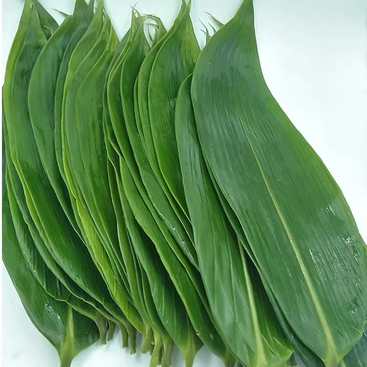 Premium Quality Raw Dried Green Natural Whole Dried Bamboo Leaf From 99 Gold Data Viet Nam