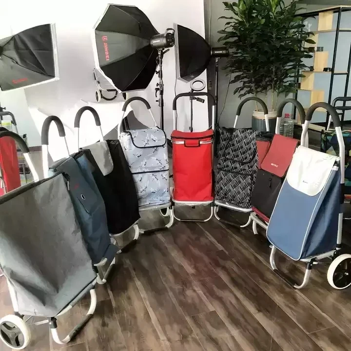 Supermarket shopping two-wheeled hand trolley old man shopping vegetables stair climbing three-wheeled folding Oxford trolley tr