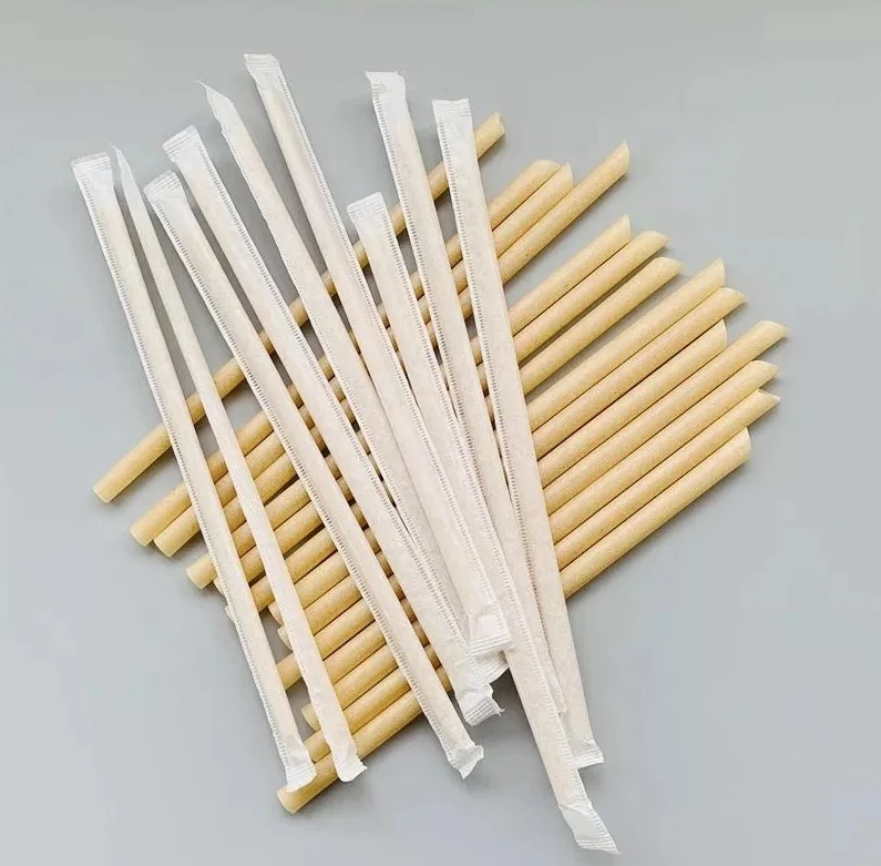 Natural 100% biodegradable sugarcane bagasse straws eco-friendly PLA drinking straw