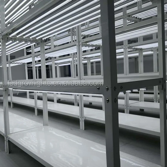 Laboratory banana flower Cold rolled steel tissue culture rack lab equipment